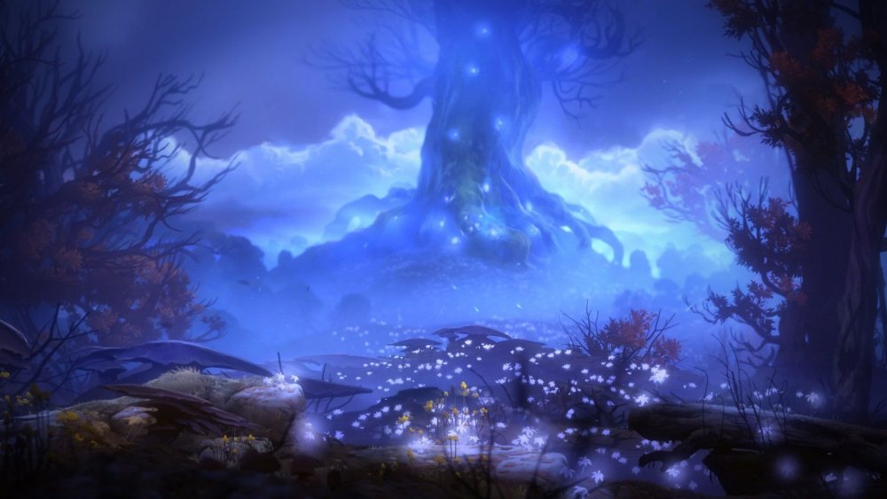 Ori and the Blind Forest обои