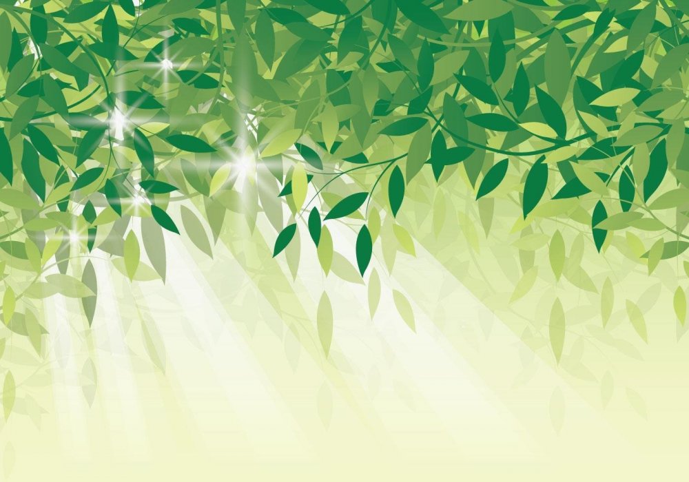 Зеленый фон с листочками