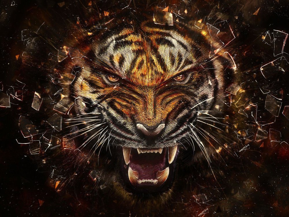 Тигр оскал контр