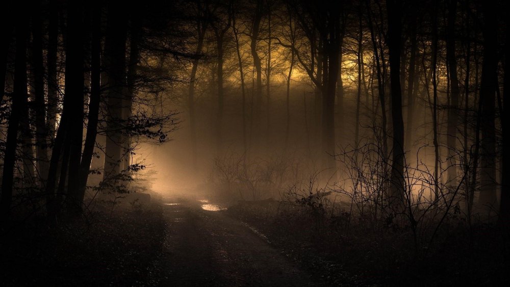 Мрачный мистический лес