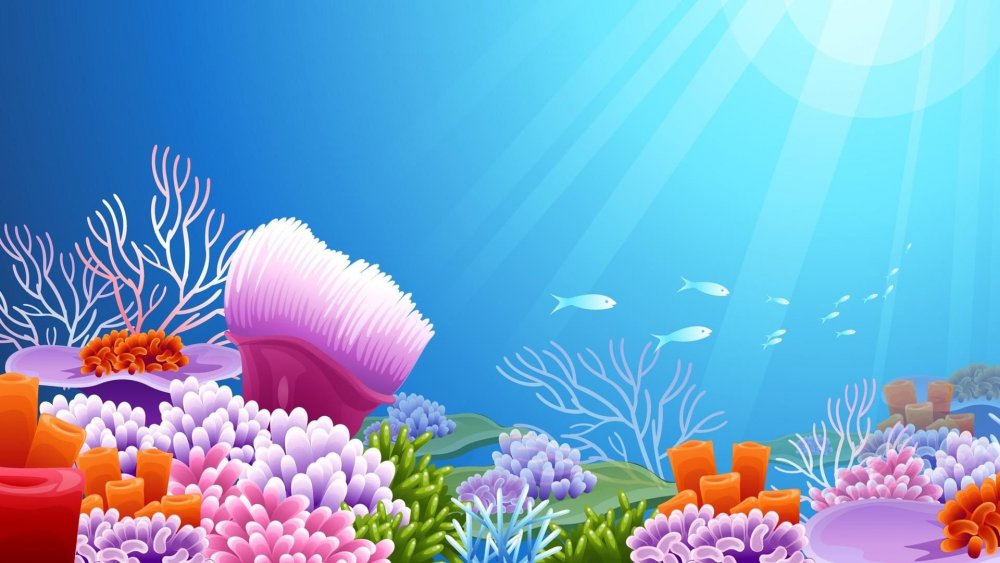 Подводный мир без рыб