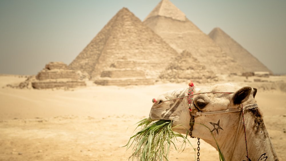 Египет пирамиды Нил