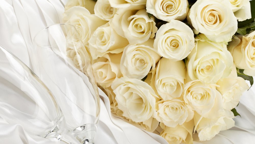 Картинки белые розы красивые на рабочий стол