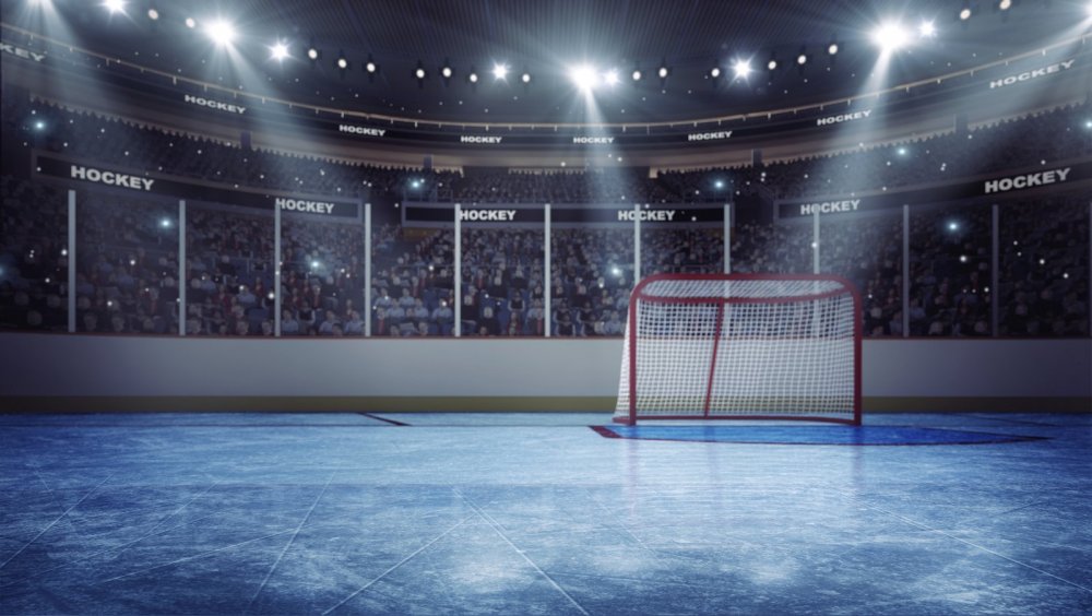 Хоккейные ворота на ледовой арене