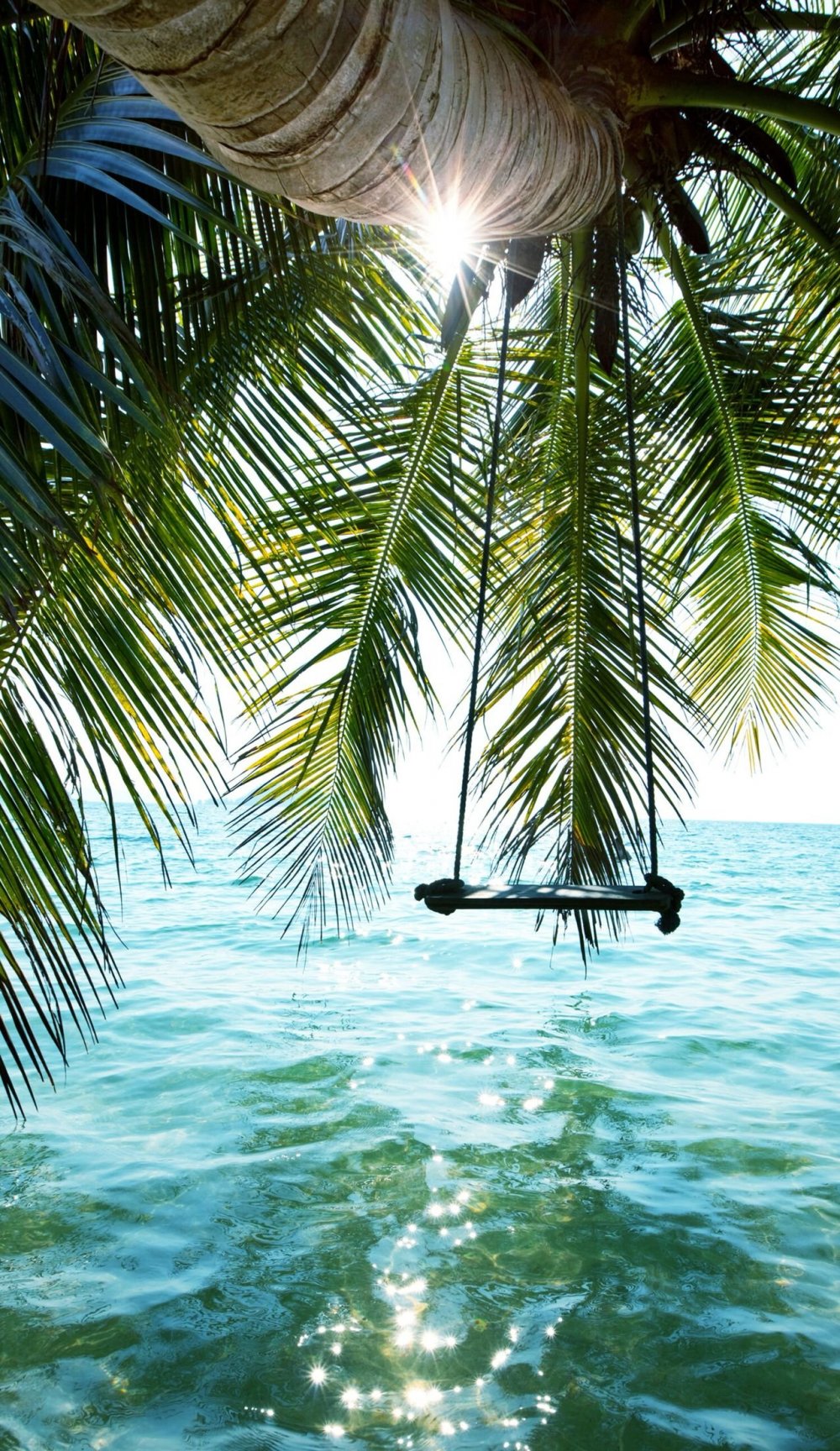 Природа пальмы море