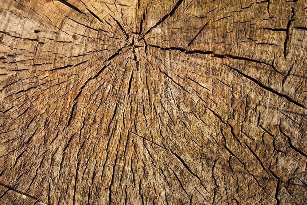 Старая древесина текстура