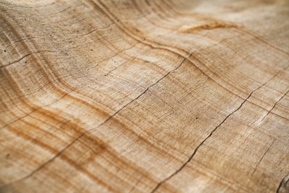 Материал дерево текстура