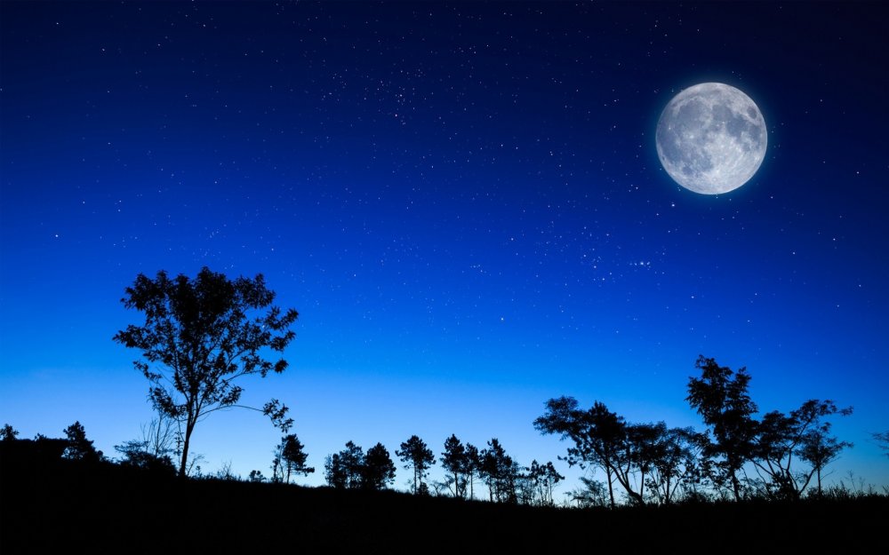 Ночь Луна
