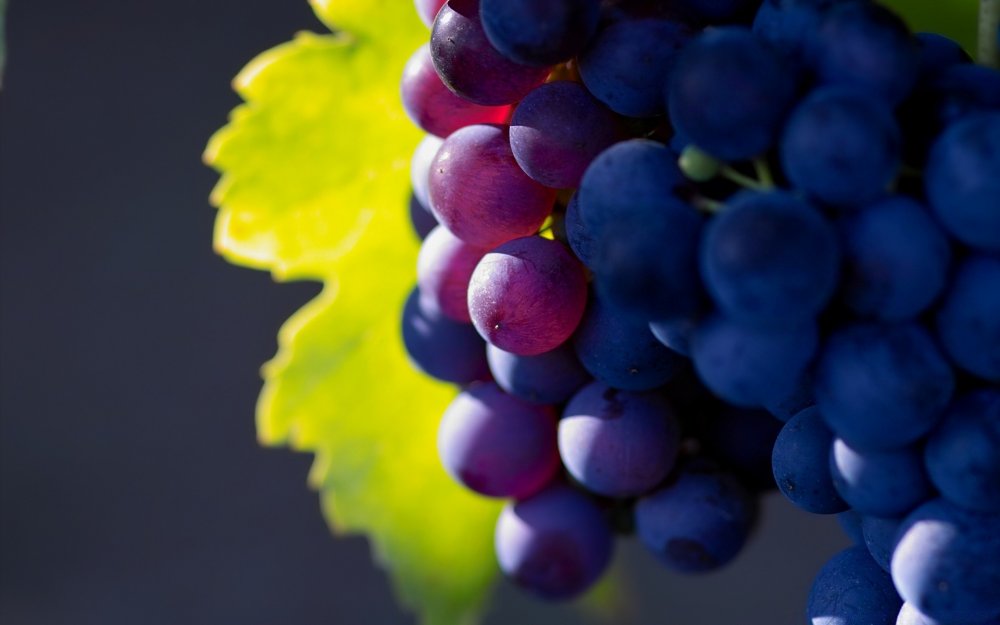 Виноград разноцветный