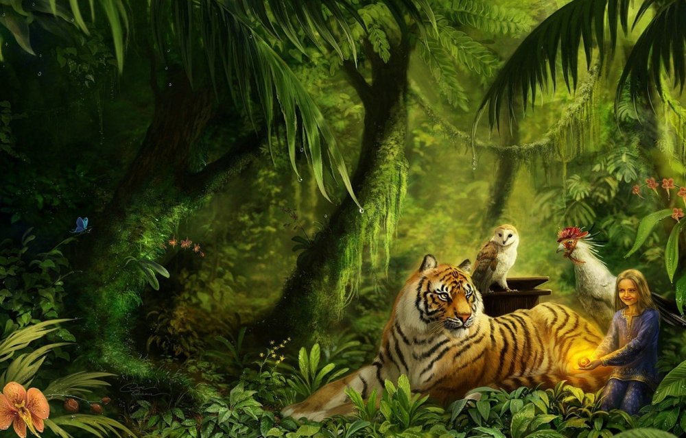 Природа джунгли