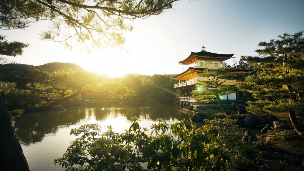 Кинкакудзи золотой павильон Киото