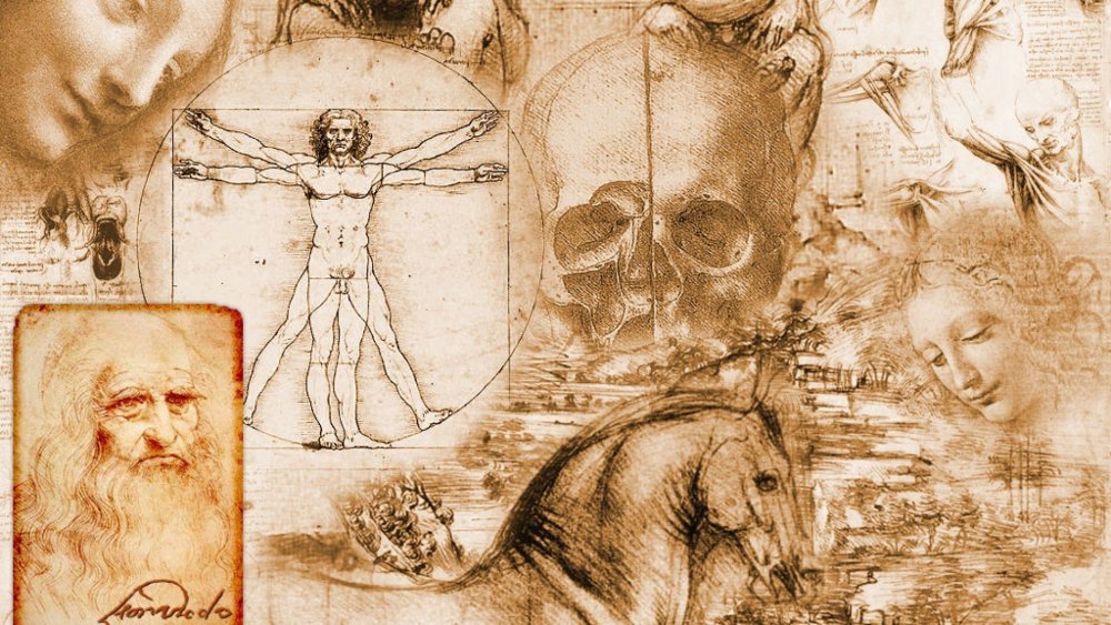Анатомические штудии Леонардо да Винчи