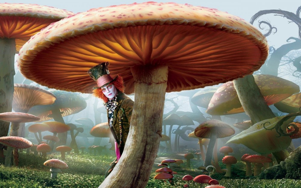 Алиса в Зазеркалье фильм грибы