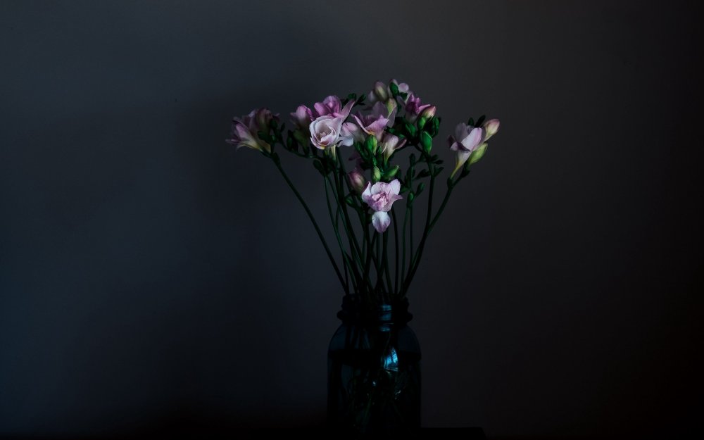 Цветы в вазе на черном фоне