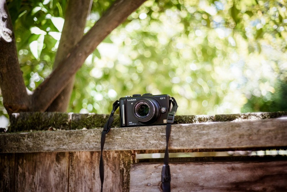 Фотокамера на траве