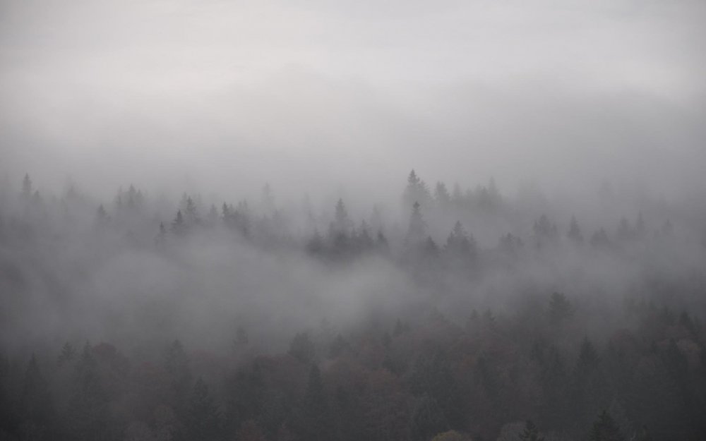 Серый туман фон