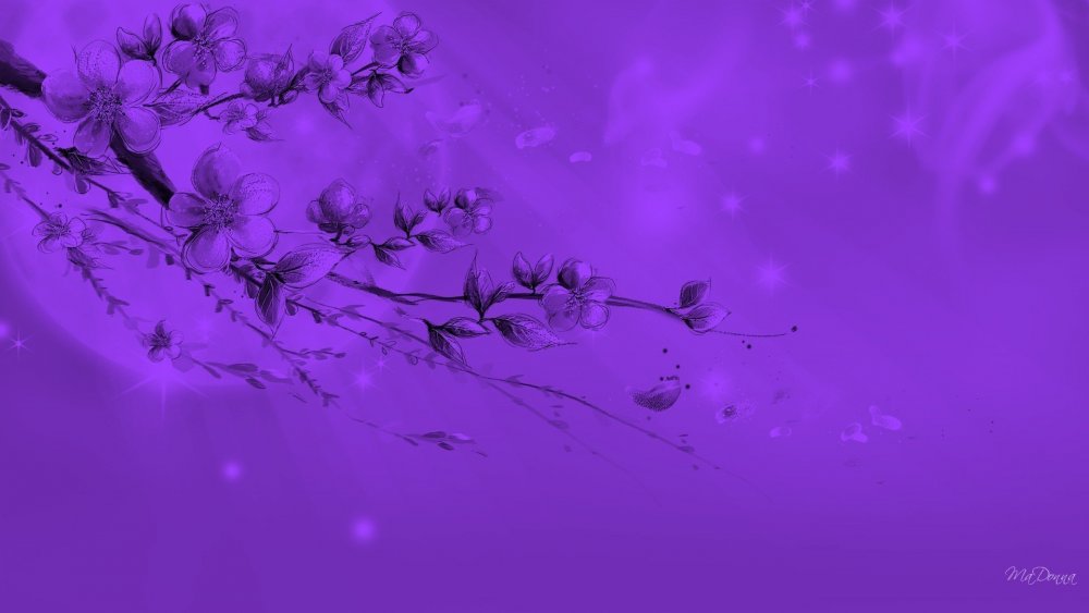 Фиолетовая Сакура