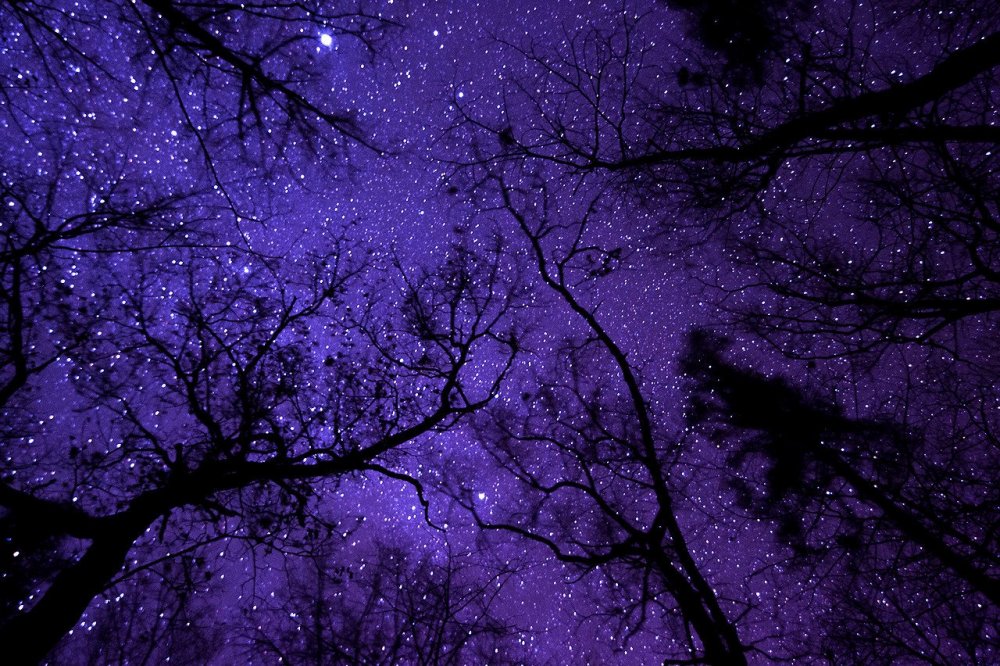 Звездное небо фиолетовое