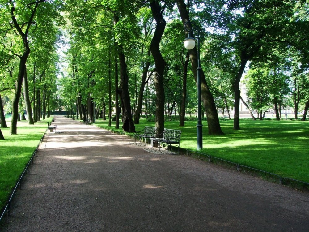 Михайловский сад дорожки в парке