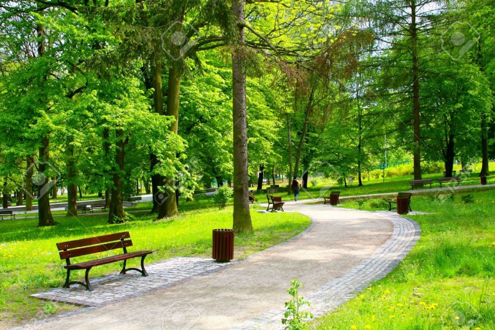 Парк локоть Брянская область