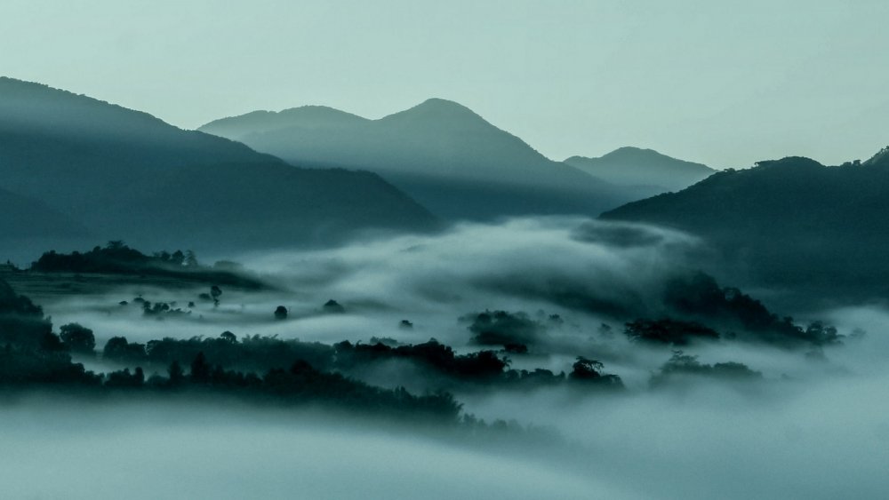 Пейзаж туман горы