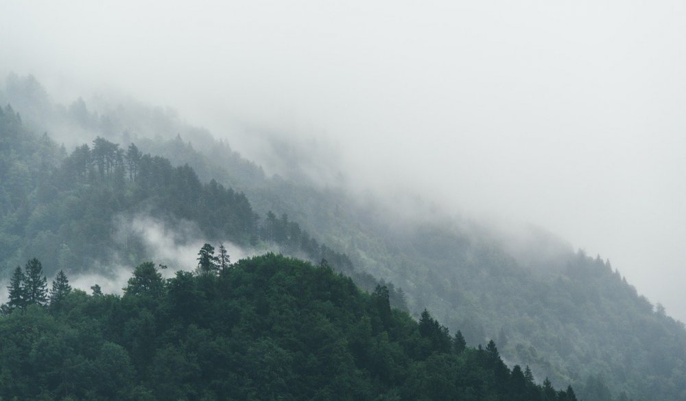 Зеленые горы в тумане
