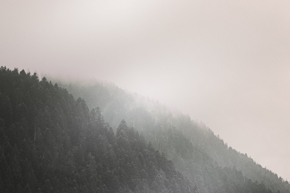Бахмаро горы туман