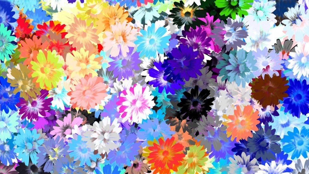 Цветы на Радужном фоне