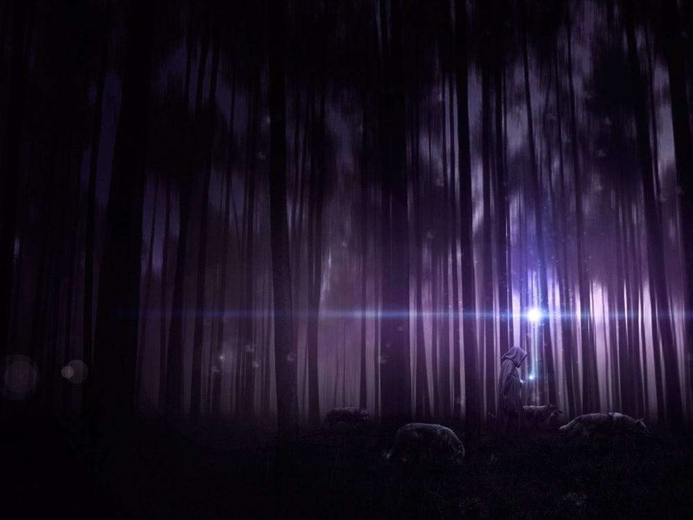 Фиолетовый ночной лес