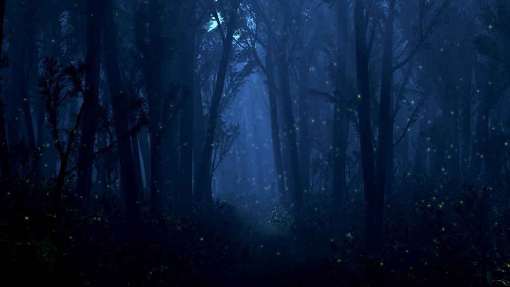 Ночной лес светлячки