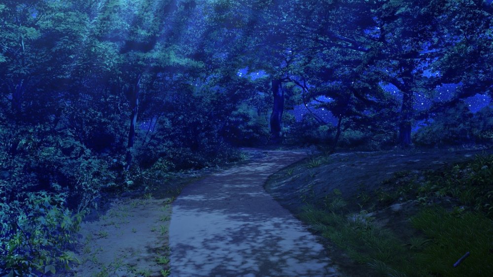 Синий лес аниме