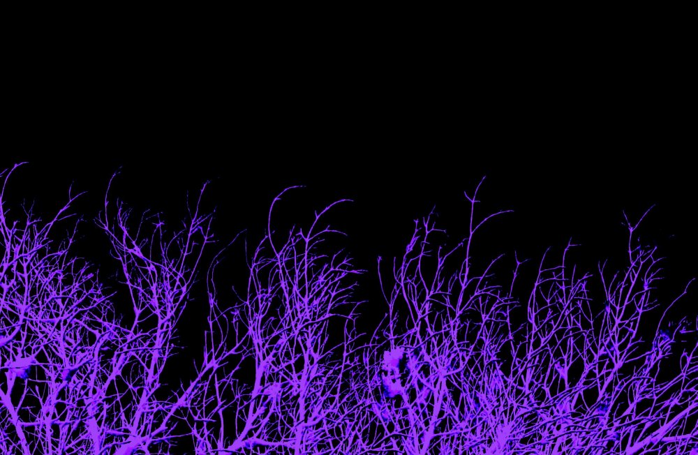 Фиолетовый неон