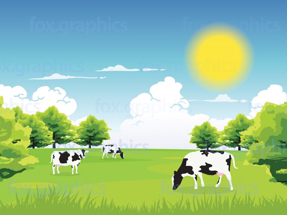 Зеленый луг с коровами