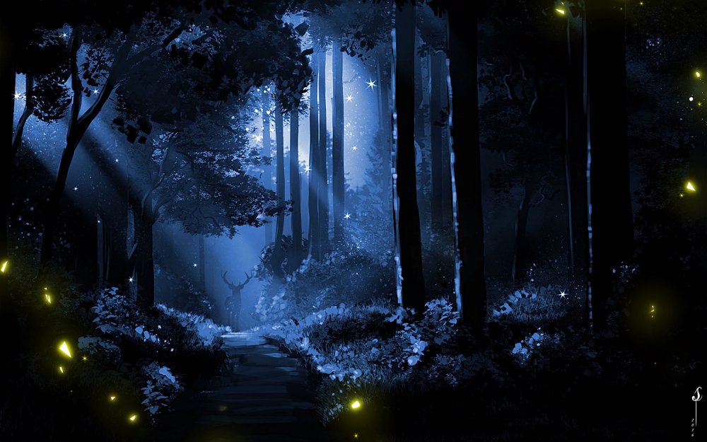 Аниме фон тёмный лес