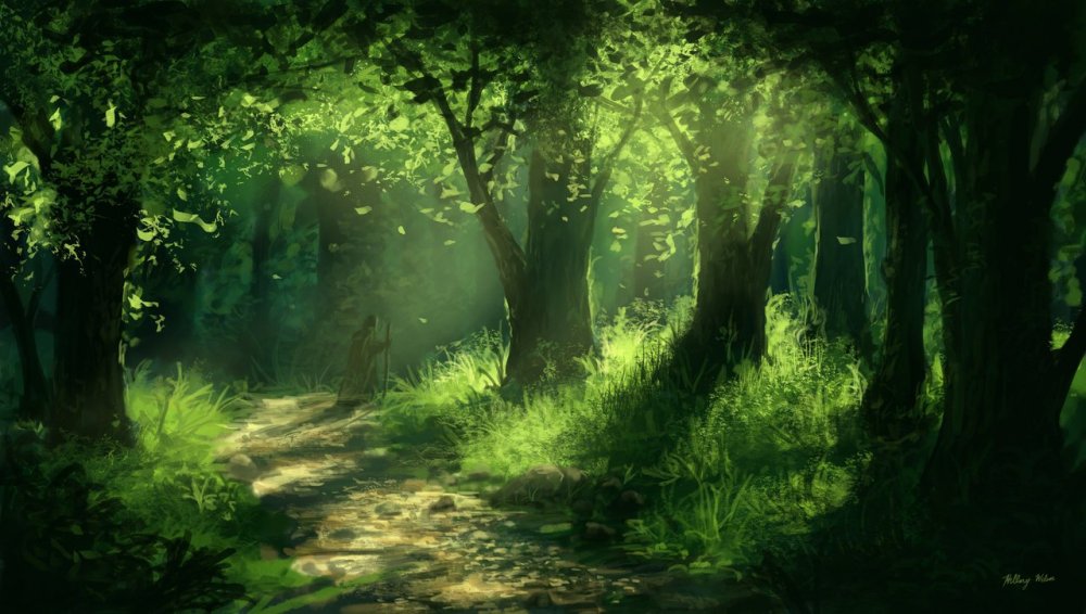 Светлый лес фэнтези