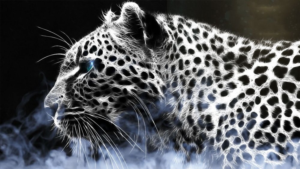 Красивый леопард на черном фоне