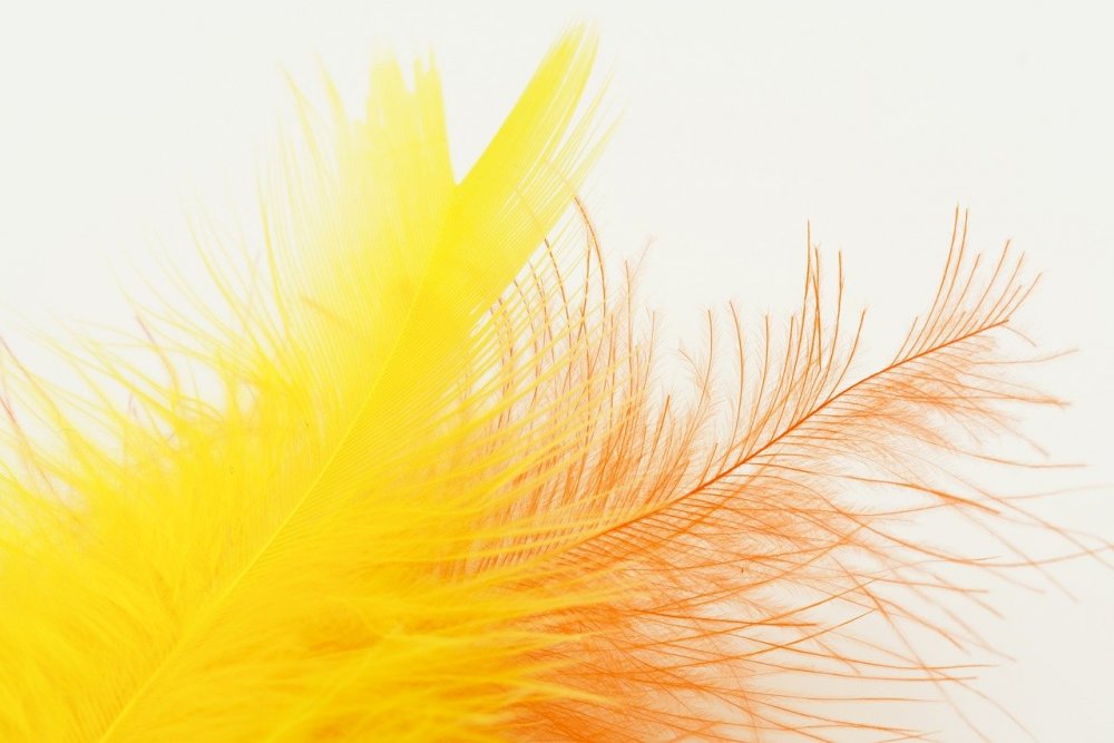 Желтые перья