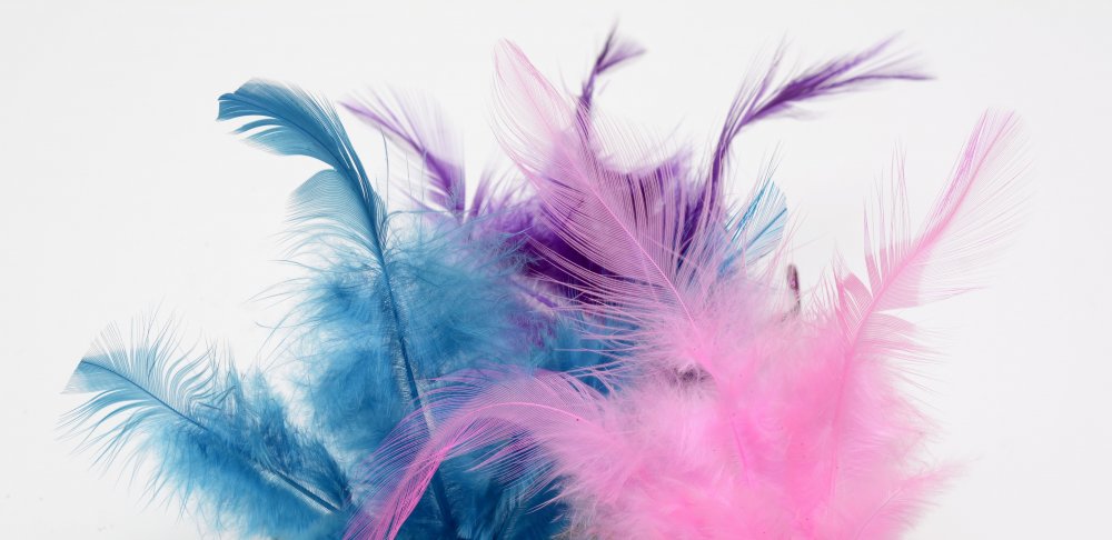 Фотообои разноцветные перья