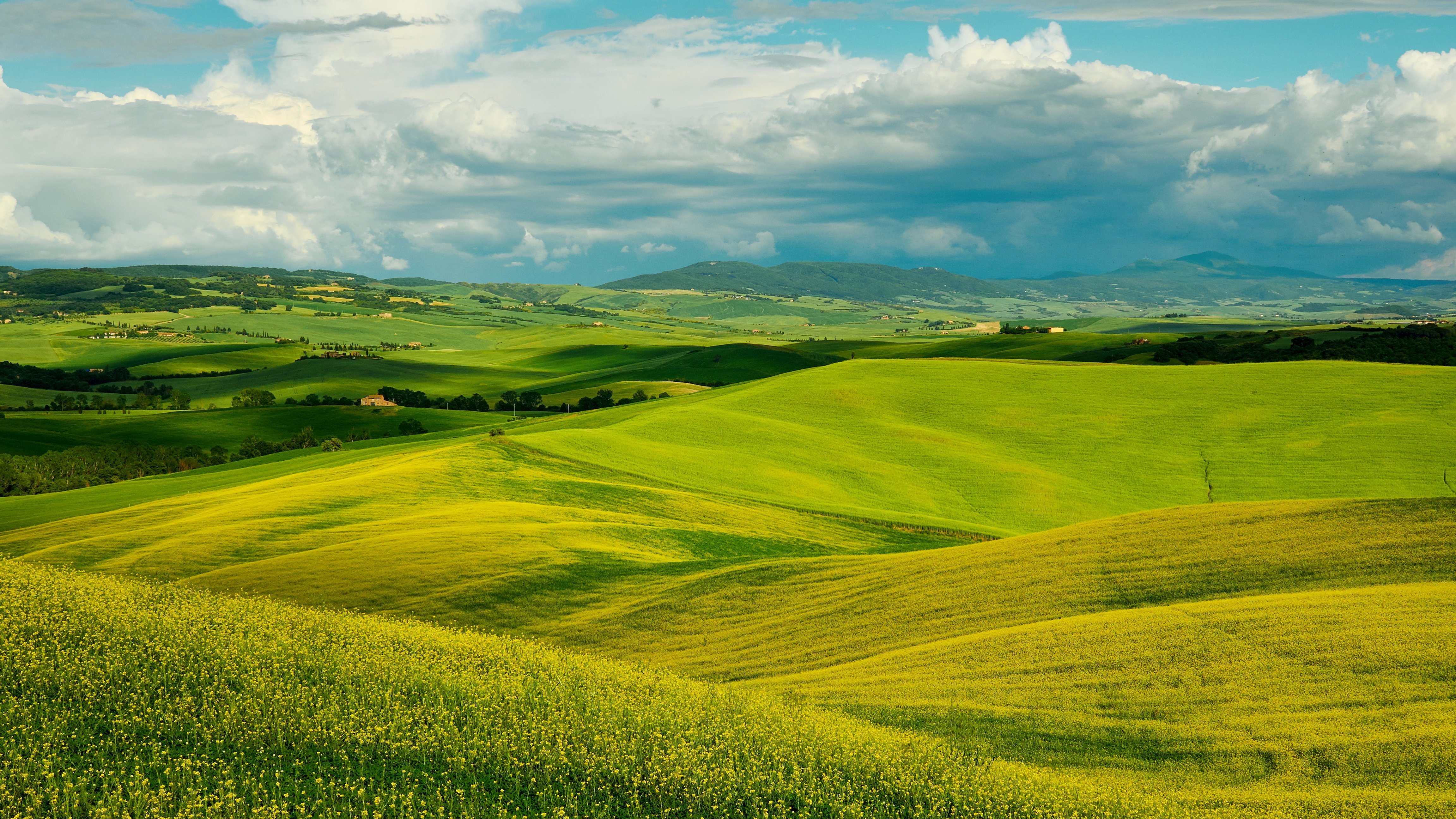 Зеленый луг алтайский край. Холмистая равнина Тоскана. Паданская равнина Италия. Зеленое поле Тоскана. Тоскана поля и холмы.