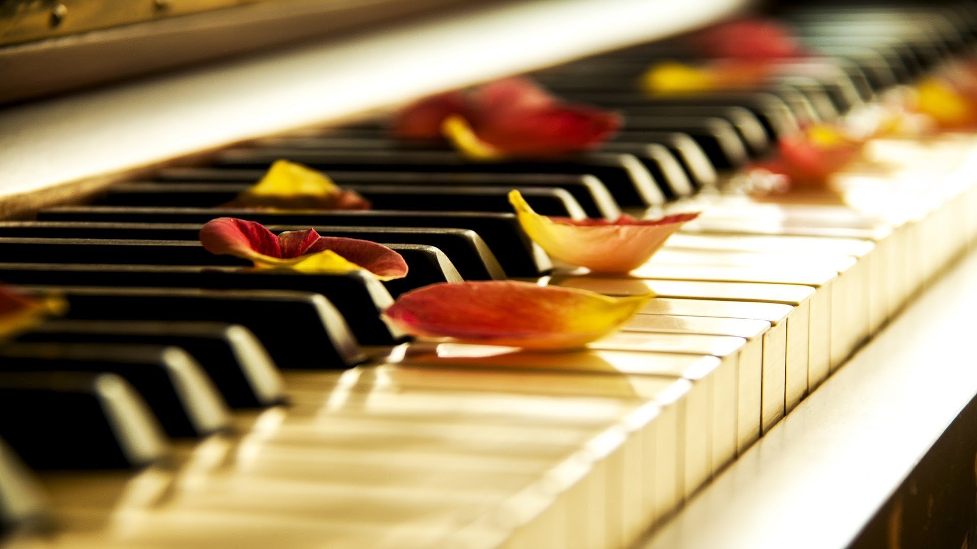 Музыка красивой жизни. Цветные клавиши пианино. Фортепиано. Музыкальные картинки. Музыкальный фон.
