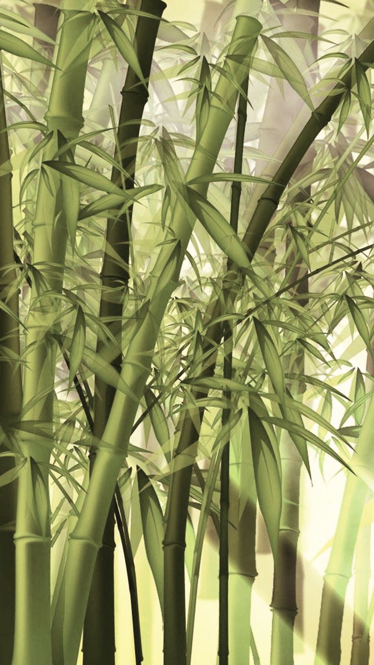 Лианы и бамбук