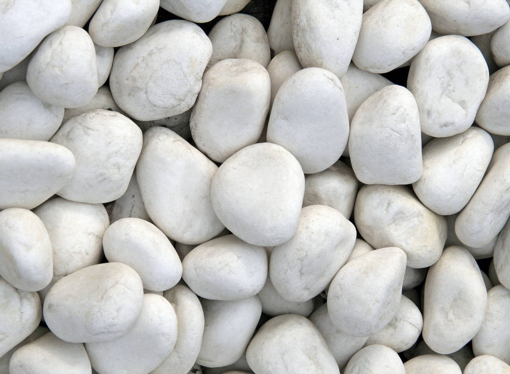 Уайт стоун. Камень декоративный: галька белая (кварц), фракция 5-50 мм. Тасос галтованный мрамор. Белый камень. Галька мраморная белая.