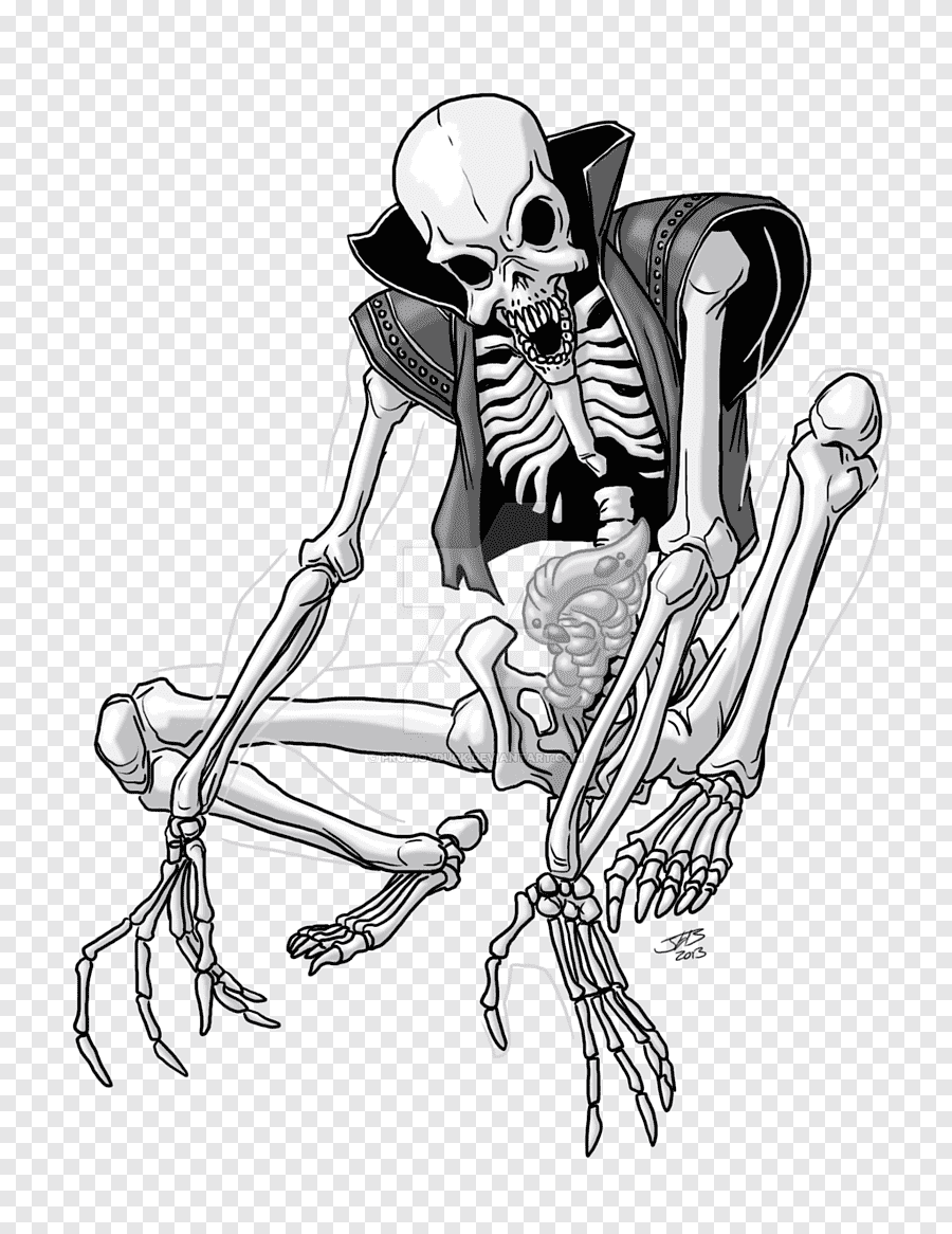 Скелет человека мультик