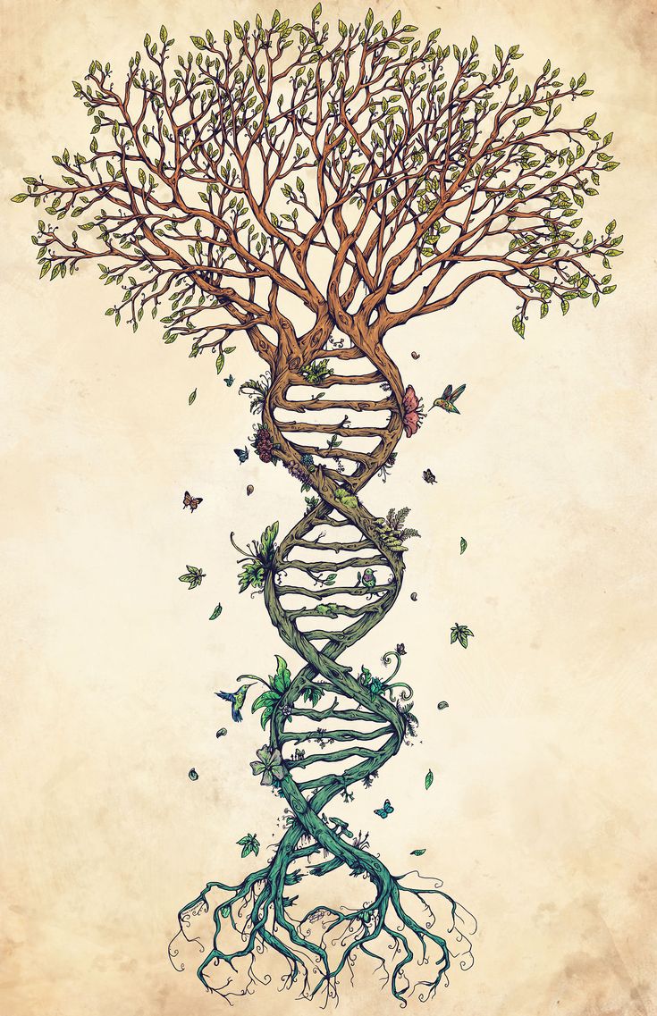 Дерево в виде ДНК
