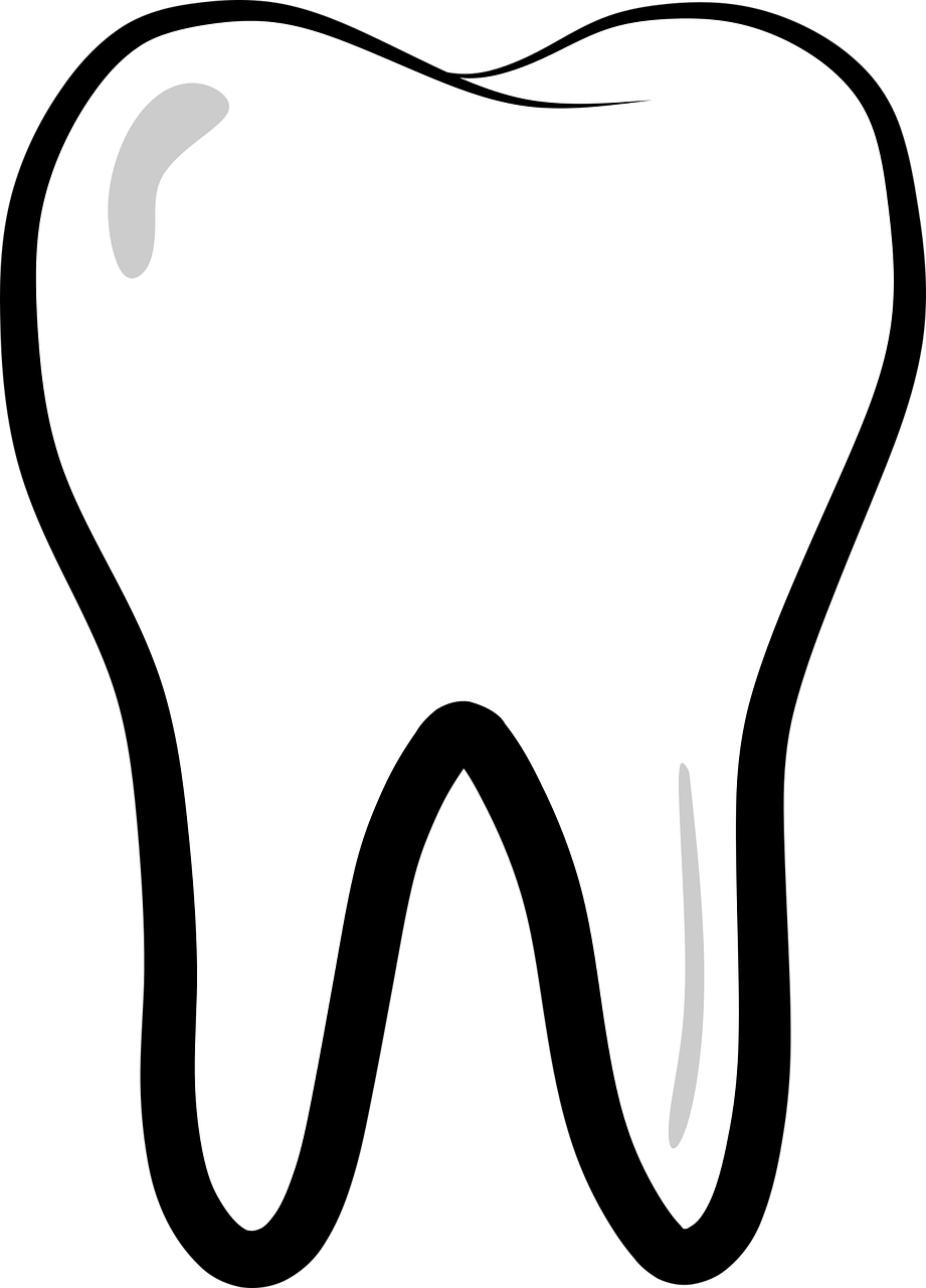 Зуб без фона