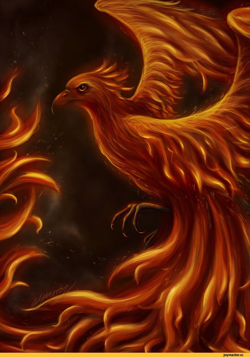 Огненная птица Феникс