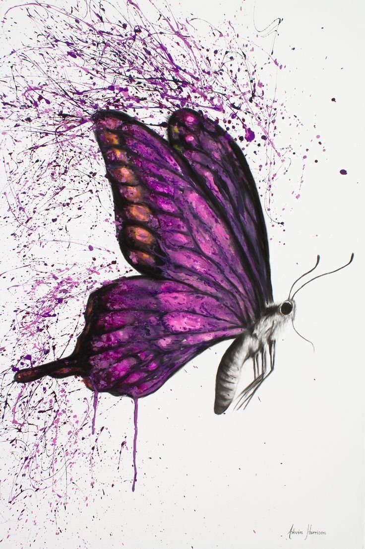 Красивая бабочка арт