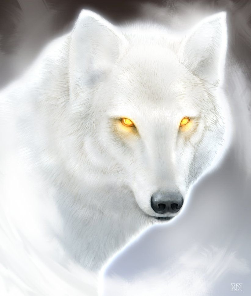 Чёрный волк и белая волчица аниме