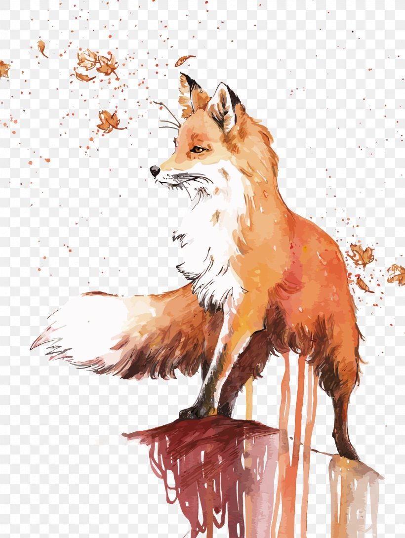 Красивые рисунки лисы