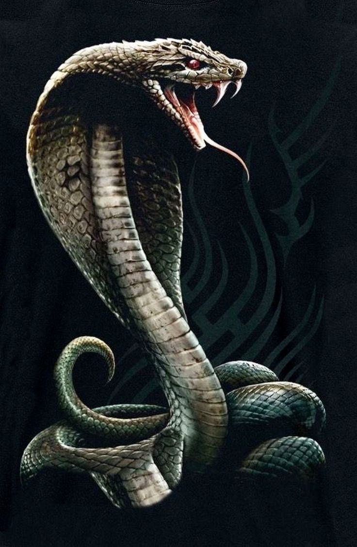 Гарри Поттер змея Нагайна